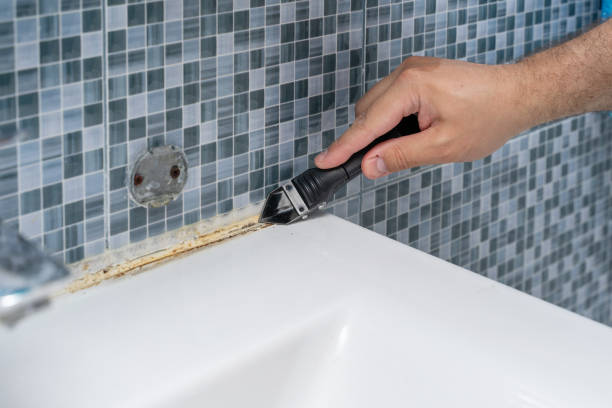 Best Emergency Mold Removal  in Ferndale, MD